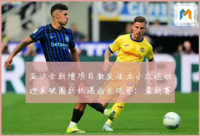 亚沙会新增项目激发活力小众运动迎来破圈新机遇成长观察：最新赛事动态与深度分析
