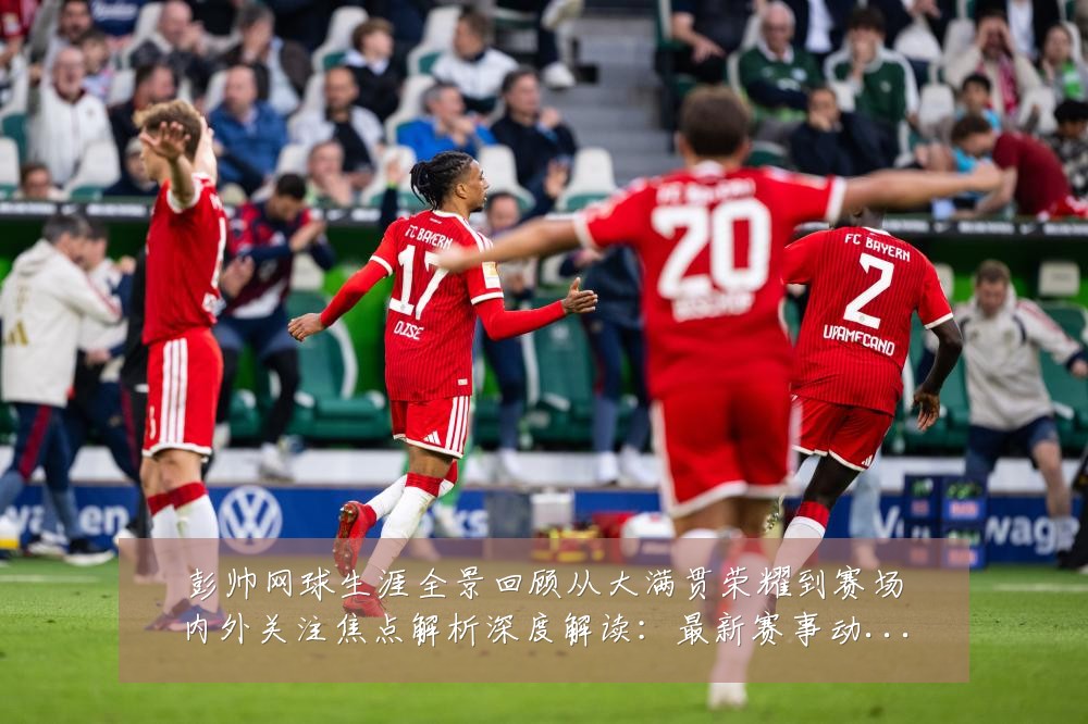 彭帅网球生涯全景回顾从大满贯荣耀到赛场内外关注焦点解析深度解读:最新赛事动态与深度分析